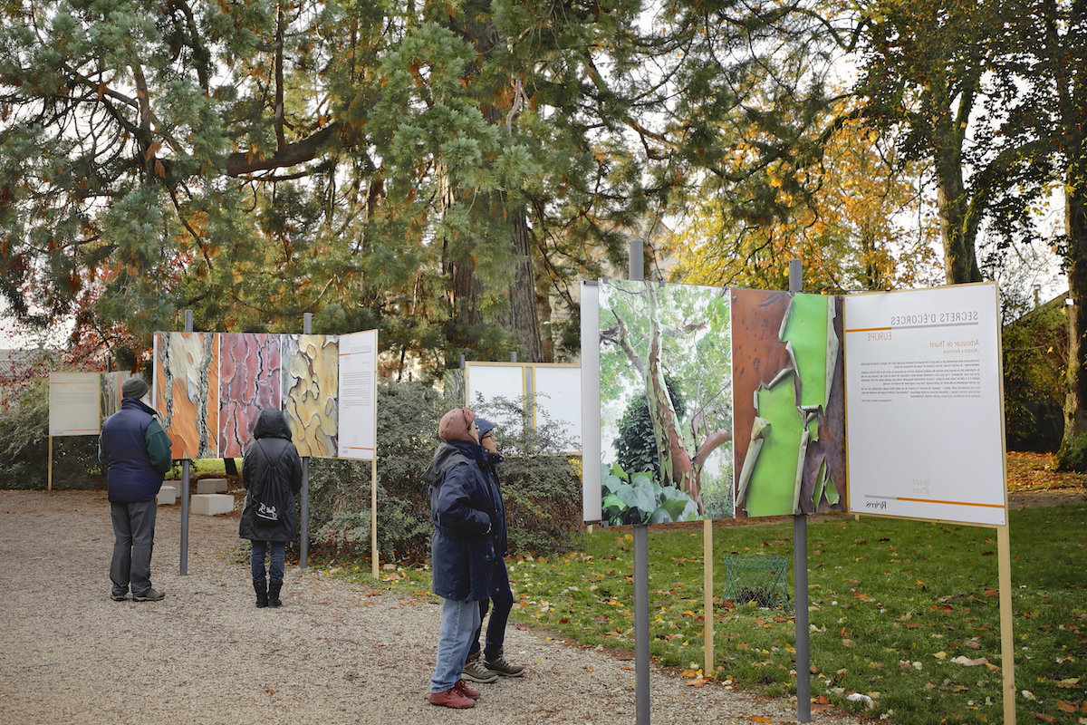 Festival International Photo Nature (Montier en Der 2019)
