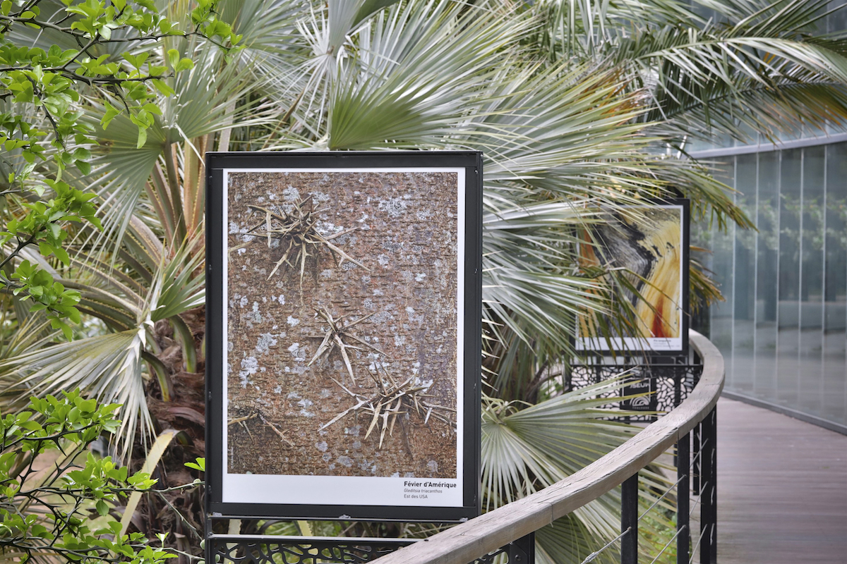 Jardin Botanique Henri Gaussen (Toulouse 2022)