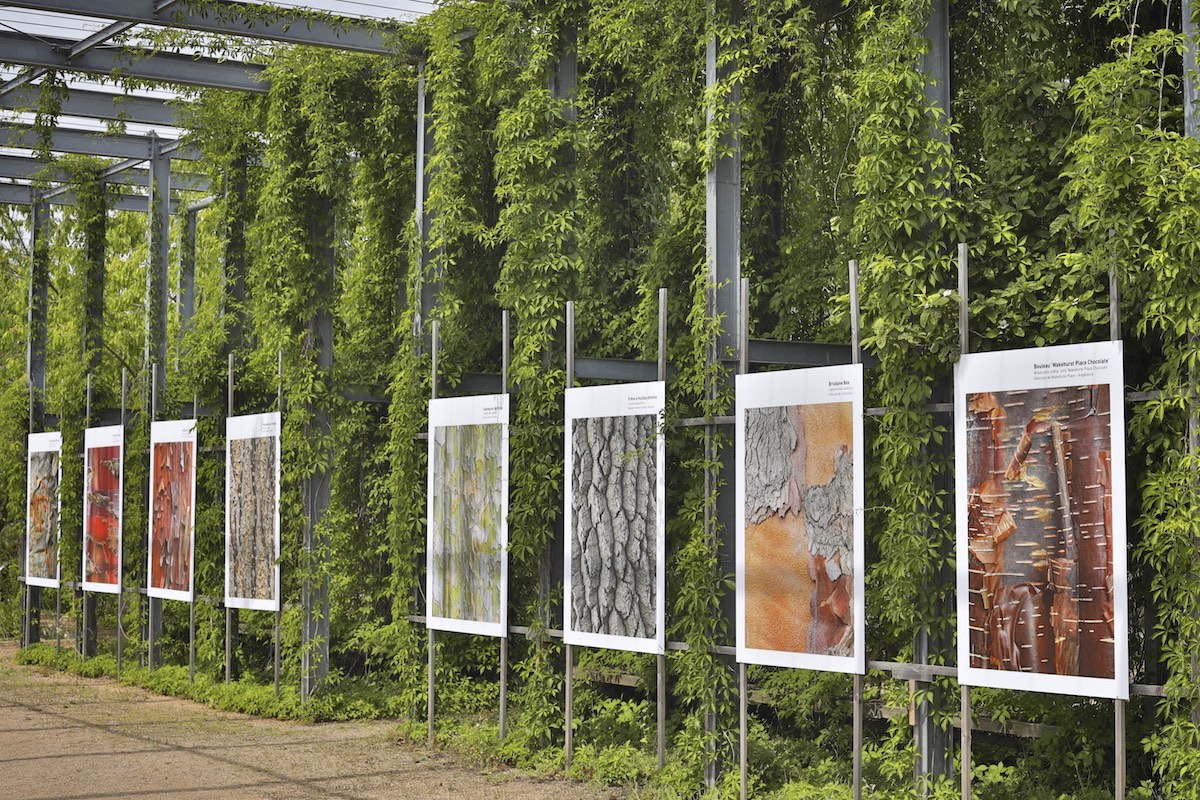Jardins du Museum (Toulouse 2022)
