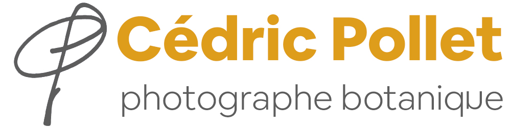 logo_cedric_pollet_botanique