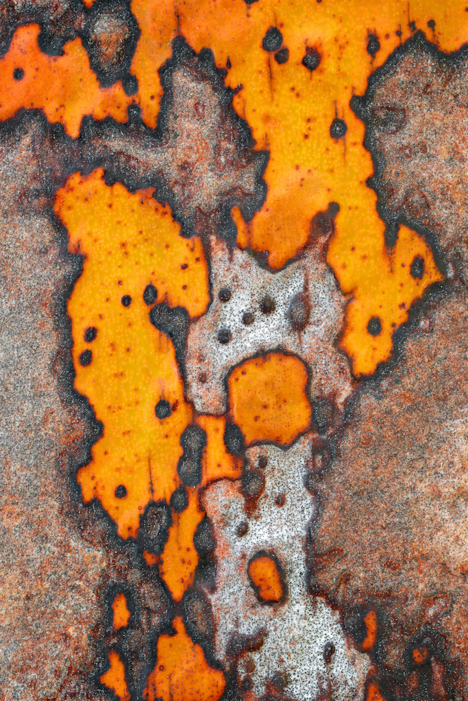 <strong><em>Raphia farinifera</em></strong> (Raphia – Afrique)