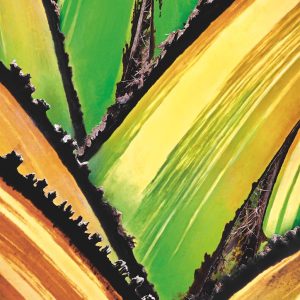 Poster d’écorce de Borassus flabellifer ‘Variegata’ — visuel A4